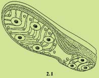 82