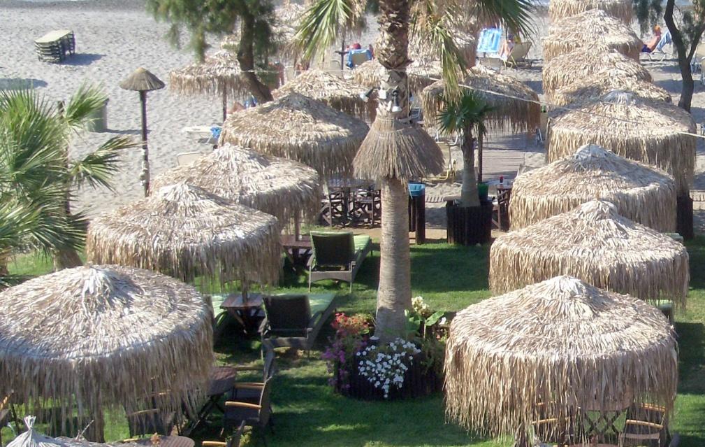 Oμπρέλα Fun Palm σταθερή Οι ομπρέλες με υλικό κάλυψης Fun Palm εκτός από το προνόμιο της ξεχωριστής τους εμφάνισης αντέχουν στον χρόνο και στις καιρικές συνθήκες.