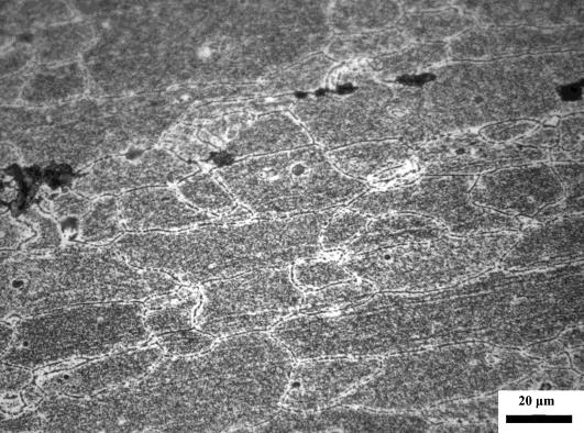 Precipitate Free Zone (α) (β) Σχ.2 Μικροδομή υλικού α) σε κατάσταση Τ3 β) μετά από υπεργήρανση στους 300 o C για 15 ώρες 4. Μηχανικές δοκιμές 4.