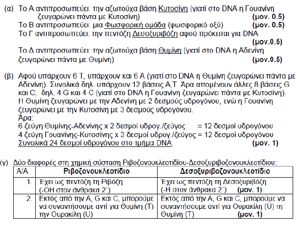 ΧΡΙΣΤΙΝΑ
