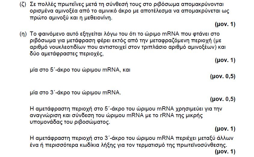ΧΡΙΣΤΙΝΑ