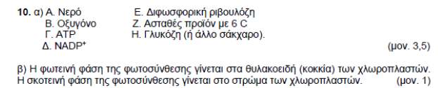 iv. Στη μη κυκλική τα ηλεκτρόνια δεν επιστρέφουν στο φωτοσύστημα ΙΙ, από το οποίο ξεκίνησαν, ενώ στην κυκλική καταλήγουν στο φωτοσύστημα από το οποίο ξεκίνησαν (φωτοσύστημα Ι). v.