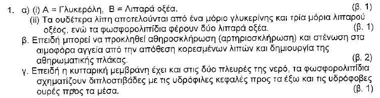2004 ΜΕΡΟΣ Α ΑΣΚΗΣΗ 3 (α) i. φωσφορολιπίδια (Μονάδα 0,5) ii. Α: υδρόφιλος πόλος Β: υδρόφοβος πόλος. (Μονάδα 1) (β) Δύο από τις πιο κάτω ιδιότητες των λιπών και η βιολογική σημασία τους. i. Κακοί αγωγοί της θερμότητας - θερμομονωτικά υλικά ii.