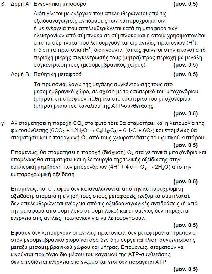 ΧΡΙΣΤΙΝΑ