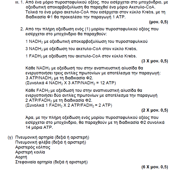 ΧΡΙΣΤΙΝΑ