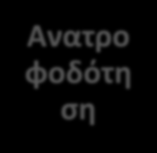 Κανόνες Στόχος Δομή Ανατρο φοδότη ση ΠΑΙΧΝΙΔΙ