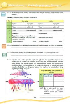 Στη Δραστηριότητα 3.4.