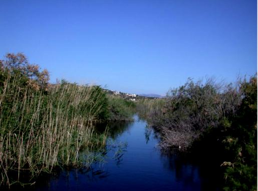 φυσικό περιβάλλον Σο Natura 2000 (Υύση 2000) είναι ένα πανευρωπαϊκό δίκτυο προστασίας των ειδών και των ενδιαιτημάτων τους.