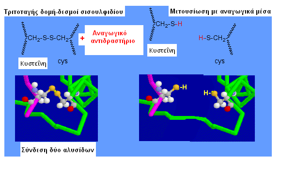 Μετουσίωση (denaturation) των πρωτεϊνών Η αλλαγή της στερεοχημικής δομής των μορίων μιας πρωτεΐνης που έχει ως αποτέλεσμα την αλλαγή των ιδιοτήτων και της λειτουργίας της χαρακτηρίζεται ως μετουσίωση.