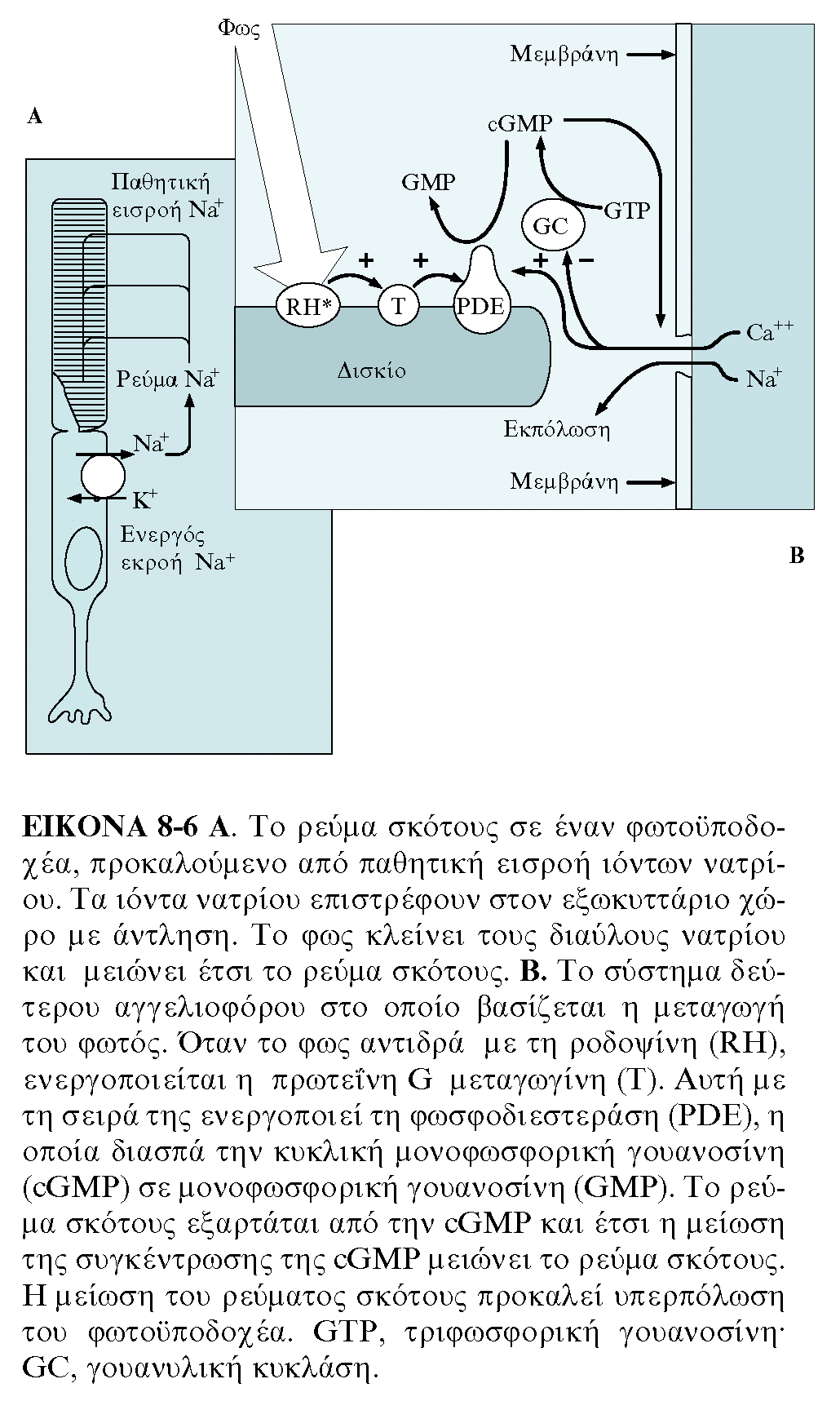 APXEΣ ΦYΣIOΛOΓIAΣ, TOMOΣ I