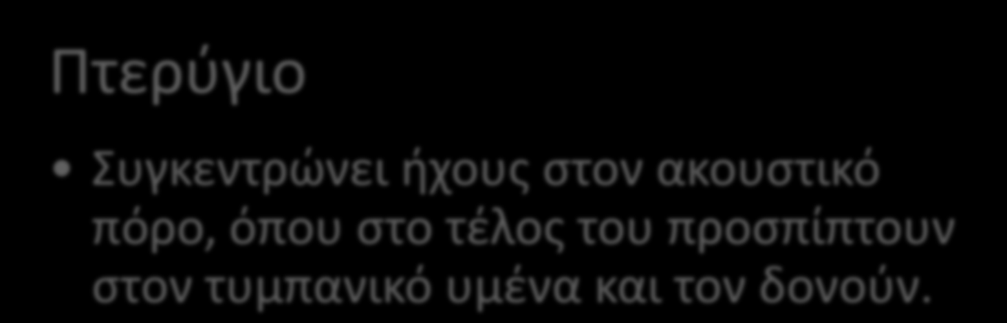 Ρόλος και τα τμήματα του εξωτερικού αυτιού Ακουστικός πόρος Η είσοδός του είναι επενδυμένη με τριχίδια και κύτταρα που παράγουν κυψελίδα για να εμποδίζεται