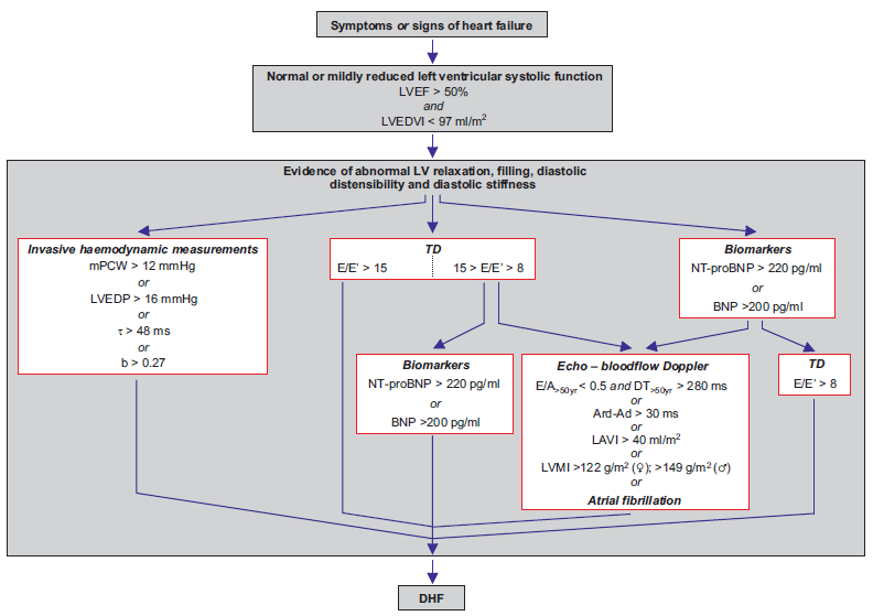 Αλγόριθμος Διάγνωσης HF-PEF Paulus WJ, et al: A consensus statement on the diagnosis of heart failure with normal left ventricular ejection fraction (HFNEF) by the Heart Failure and Echocardiography