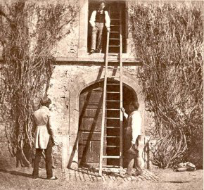 Φωτογραφίες των δεκαετιών 1840 και 1850. Η εφεύρεση της φωτογραφικής µηχανής και η ανάπτυξή της, µαζί µε την τέχνη που συνεπάγεται η χρήση της, πολλαπλές επιπτώσεις στην οικονοµία και την κοινωνία.