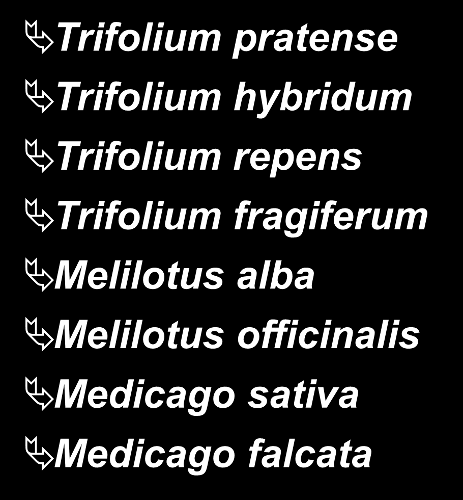 ΧΟΡΤΟΔΟΤΙΚΑ ΨΥΧΑΝΘΗ (Leguminose) Ετήσια Trifolium incrntum Trifolium lexndrinum Trifolium resupintum Trifolium hirtum Trifolium subterrneum