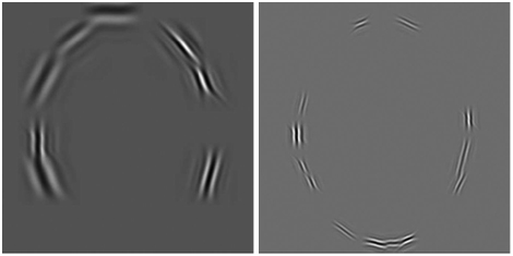 Ο μετασχηματισμός CurveletG1 ανοίγει τη δυνατότητα για ανάλυση μιας εικόνας με μπλοκ διαφορετικού μεγέθους, αλλά με έναν μόνο μετασχηματισμό.