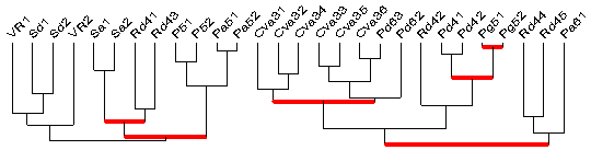 Α. Φιλύππου, Α. Μονογυιού & Α. Γαγϊτςησ αυτό (VR1, Sd1, Sd2, VR2, Sa1, Sa2, Rd41, Rd43, P51, P52, Pa51, Pa52).