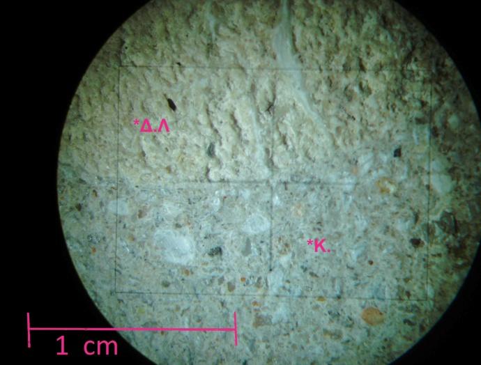 Εικόνα 5.5. Κονίαμα ΚΑΧ5 όπου στον πυρήνα του έχει τοποθετηθεί δείγμα βιοκλαστικού ασβεστολίθου. Αριστερα: μακροσκοπικά, Δεξιά : φωτογραφία της επαφής στο στερεοσκόπιο. (Κ = Κονίαμα, Δ.Λ.