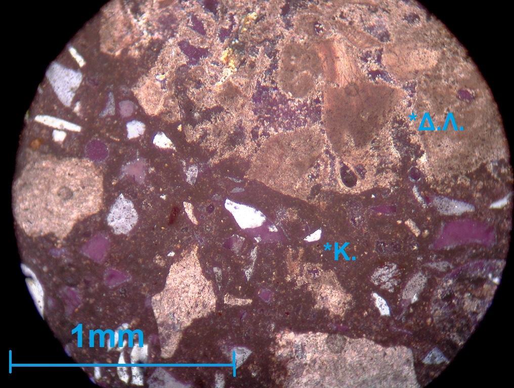 Εικόνα 5.14 Λεπτή τομή επαφής επισκευαστικού κονιάματος με βιοκλαστικό ασβεστόλιθο (Λίθος Νο 18) στο μικροσκόπιο (Κ = Κονίαμα, Δ.Λ. = Δομικός Λίθος.