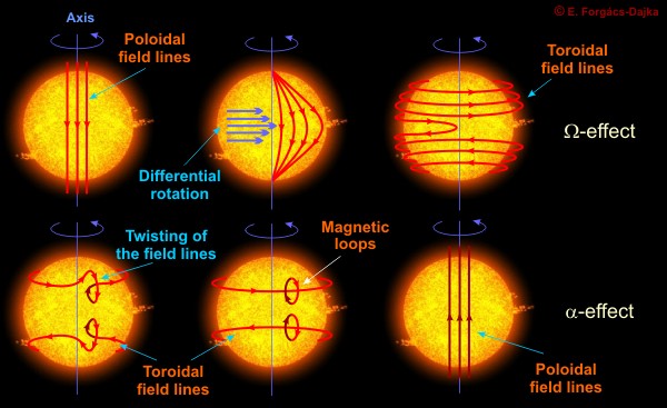 Ο Ήλιος περιστρέφεται διαφορικά : Διαφορετική περίοδος περιστροφής στους πόλους και στον ισημερινό.