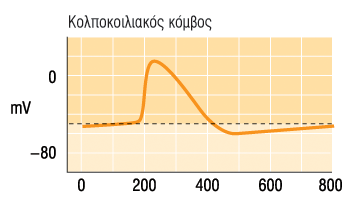 Δράση mach στην ηλεκτρική