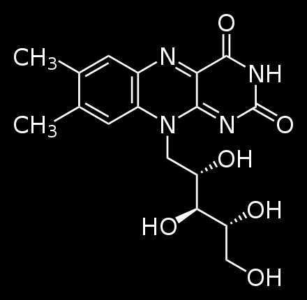 Οι βιταμίνες στα τρόφιμα Βιταμίνη B 2 (ριβοφλαβίνη) Συντίθεται μόνο από φυτά και μικροοργανισμούς, τα ανώτερα ζώα την προσλαμβάνουν μέσω της τροφής.