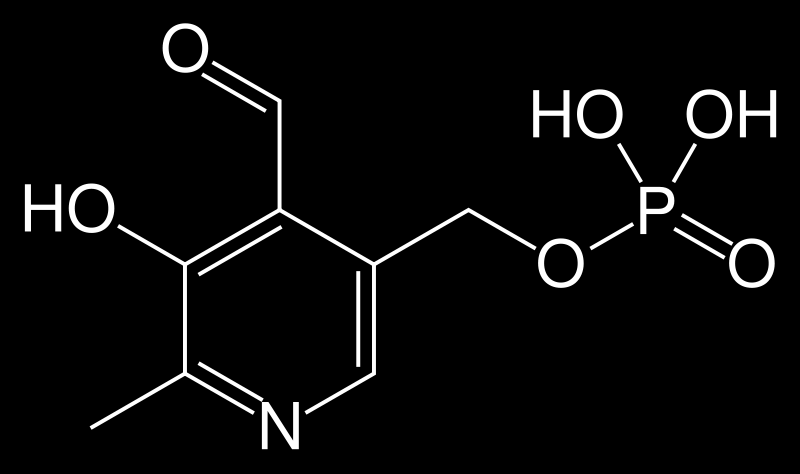 Οι βιταμίνες στα τρόφιμα Βιταμίνη B 6 ή πυριδοξίνη, Μορφές της: πυριδοξάλη, πυριδοξαμίνη, υδροχλωρίδιο πυριδοξίνης Διαδεδομένη σε ζώα και φυτά με τη μορφή της φωσφορικής πυριδοξάλης, συνένζυμο