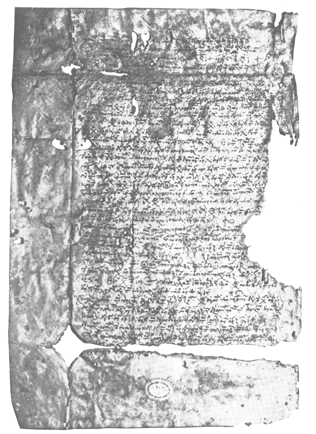 Planche Π Fig. 2.