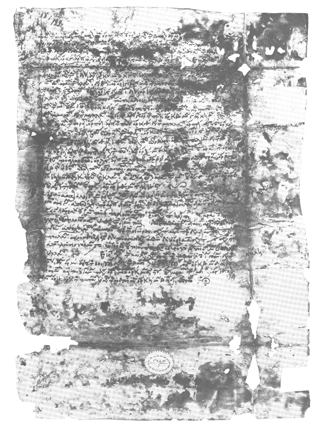 Planche III Fig. 3.