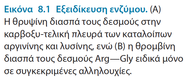 Γενικές Ιδιότητες Ένζυμα : Βιολογικοί Καταλύτες Τα ένζυμα είναι πρωτεϊνικά μόρια Μικρή ομάδα καταλυτικών RNA H