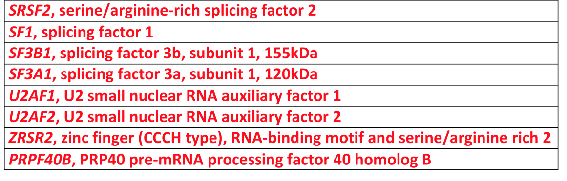 RNA splicing machinery DNA RNA polymerase II