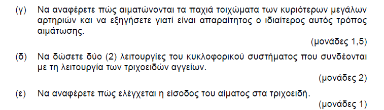 ΧΡΙΣΤΙΝΑ