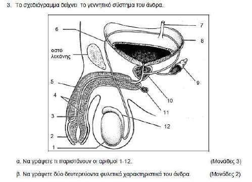 ΑΣΚΗΣΗ 3 ΧΡΙΣΤΙΝΑ