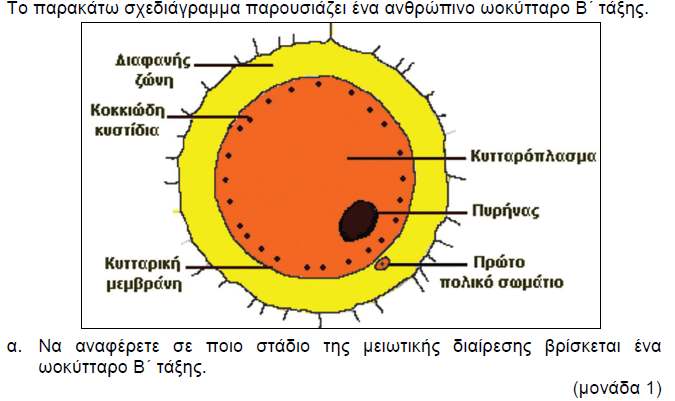 ΑΣΚΗΣΗ 6 ΧΡΙΣΤΙΝΑ