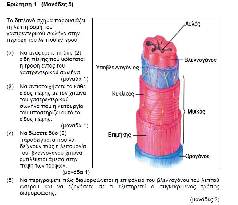 2015 ΜΕΡΟΣ Α ΑΣΚΗΣΗ