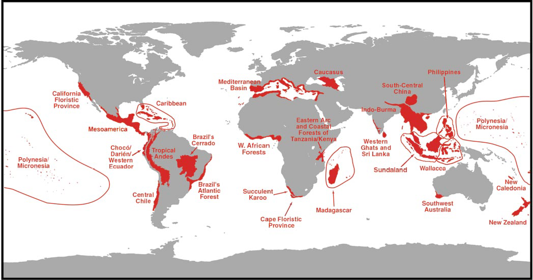 Κέντρα βιοποικιλότητας (hotspots) 2,3% επιφάνειας Γης, 50% φυτικών ειδών, 42% ειδών σπονδυλόζωων* [+ Μαπούτο, Κέρας Αφρικής, όρη Κ.