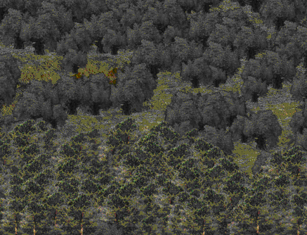 Εικόνα 13: Τρισδιάστατη απεικόνιση εναλλαγής ελαιώνα με δάσος κωνοφόρων Για το καλύτερο αισθητικό αποτέλεσμα της απεικόνισης έγινε επιλογή των χα