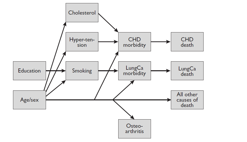Am illustrative Web of Causality (e.g.