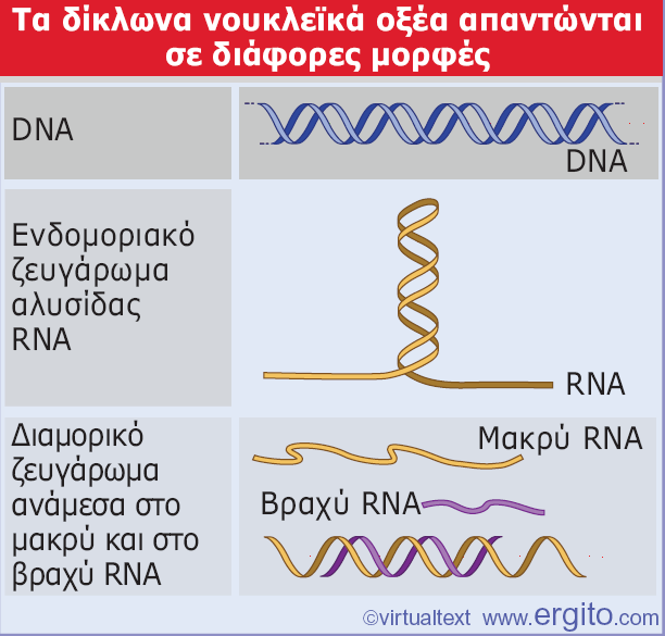 Εικόνα 1.