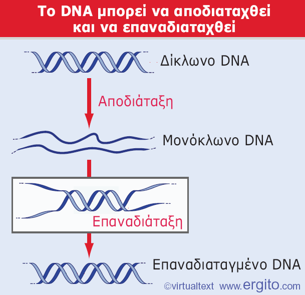 Εικόνα 1.