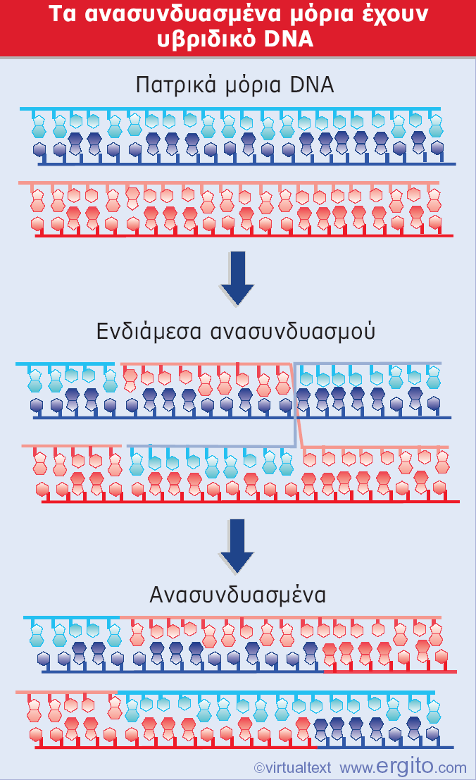 Εικόνα 1.