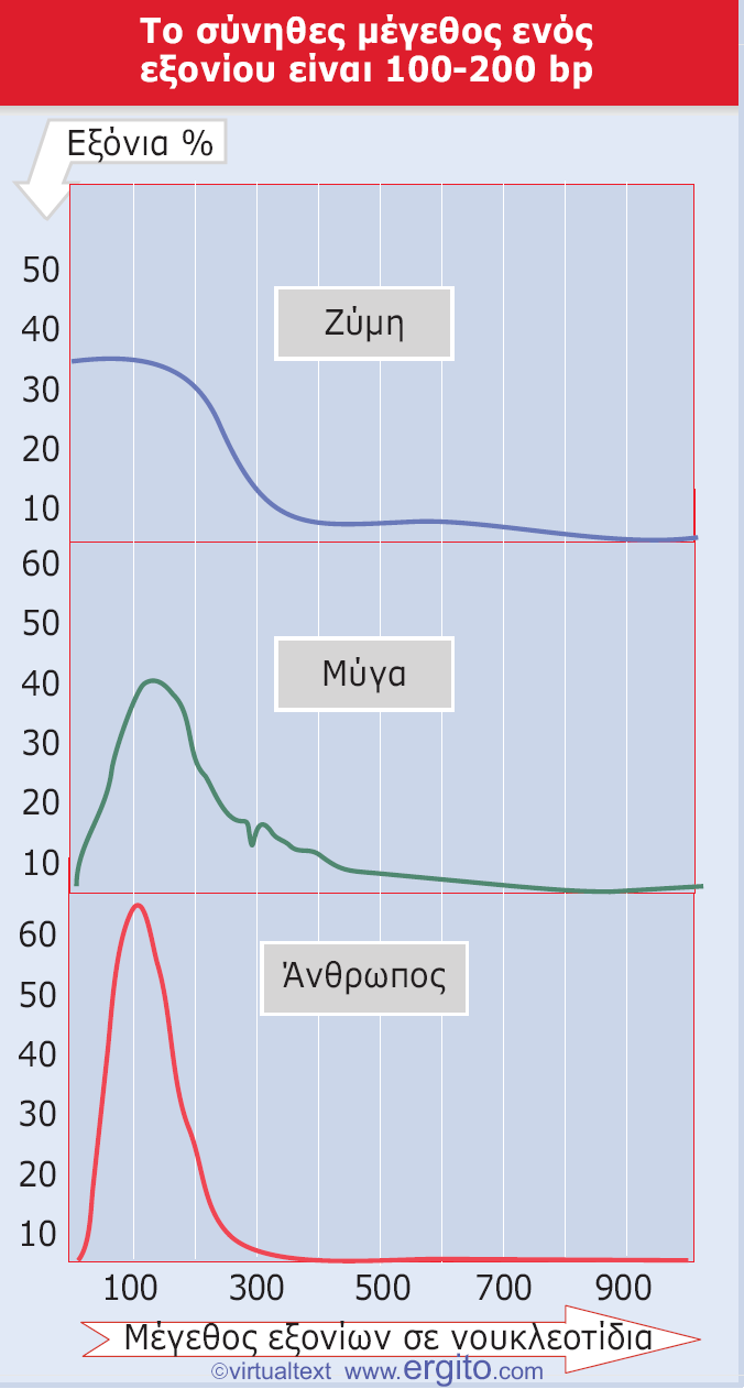 Εικόνα 2.