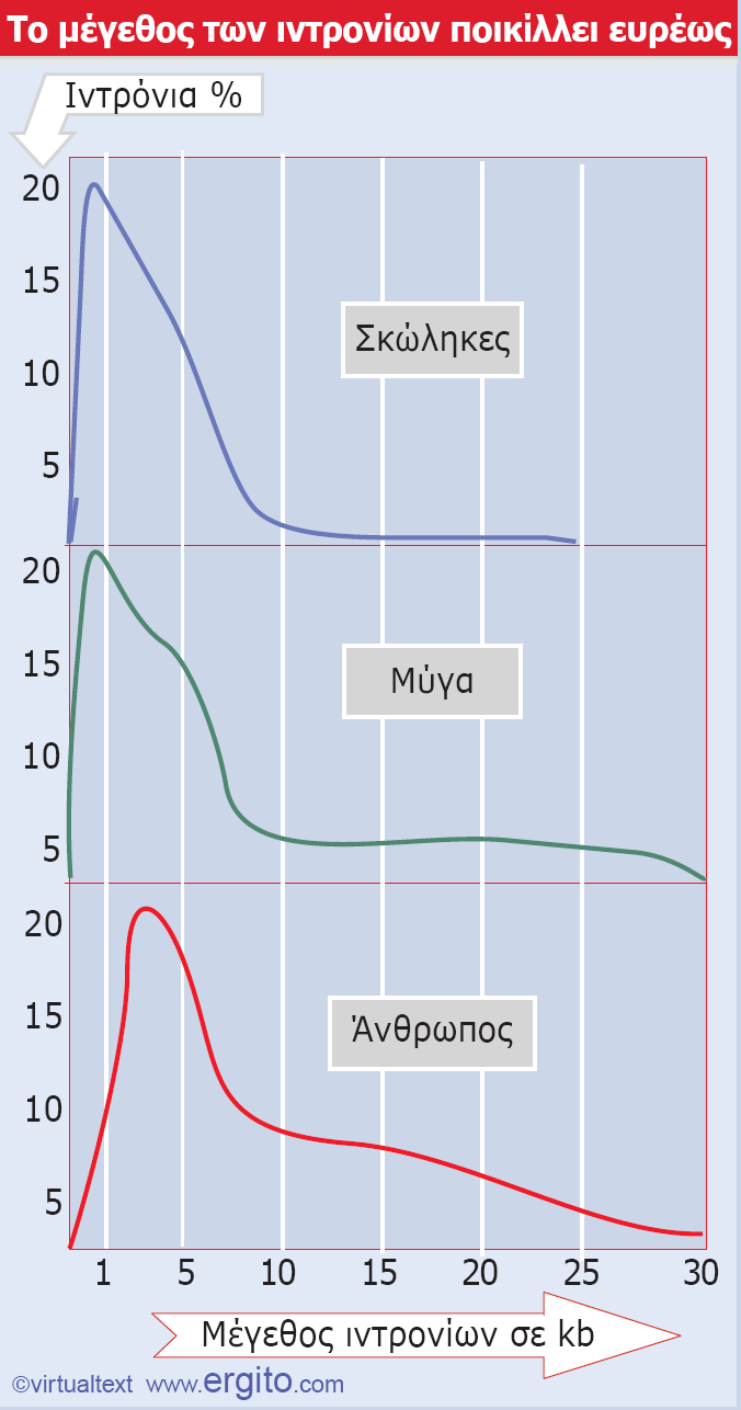 Εικόνα 2.