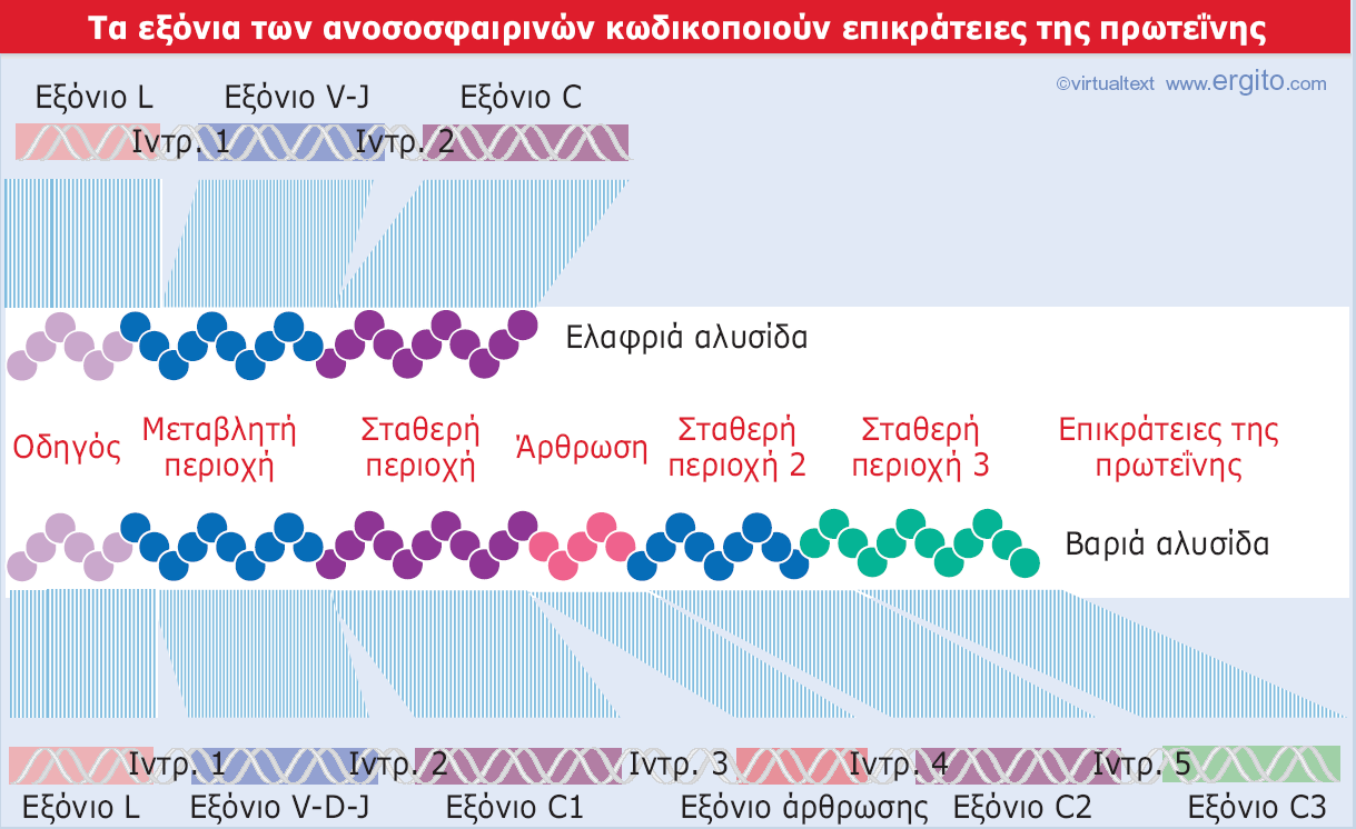 Εικόνα 2.