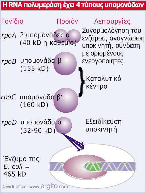 Εικόνα 9.