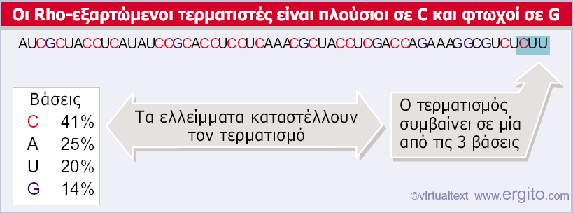 50-90 Nt Εικόνα 9.