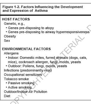 Παράγοντες κινδύνου και εκλυτικά αίτια ΧΑΠ Nutrition