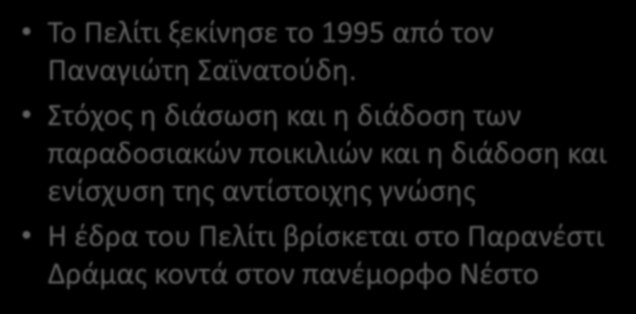 Το Πελίτι Το Πελίτι ξεκίνησε το 1995 από τον Παναγιώτη Σαϊνατούδη.