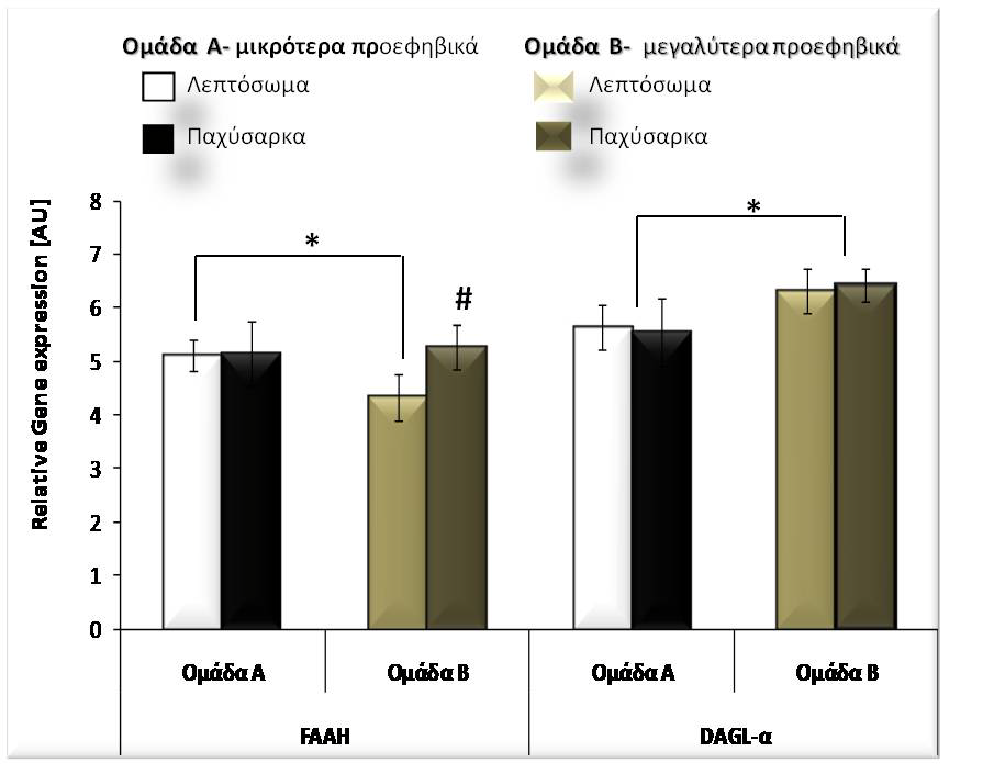 τους (#p<0.05) και 3) μία σημαντική αύξηση του DAGL-α τόσο στα λεπτόσωμα όσο και στα παχύσαρκα προεφηβικά παιδιά της ομάδας Β σε σύγκριση με αυτών της ομάδας Α (*p<0.