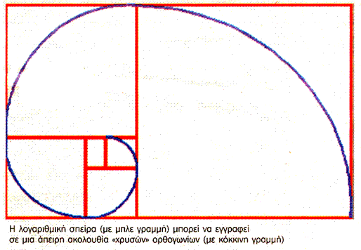Οι πραγματικά ενδιαφέρουσες εφαρμογές του Φ ξεκινούν από την κατασκευή ενός άλλου γεωμετρικού σχήματος, που ονομάζεται Λογαριθμική Σπείρα ή Χρυσή Σπείρα.