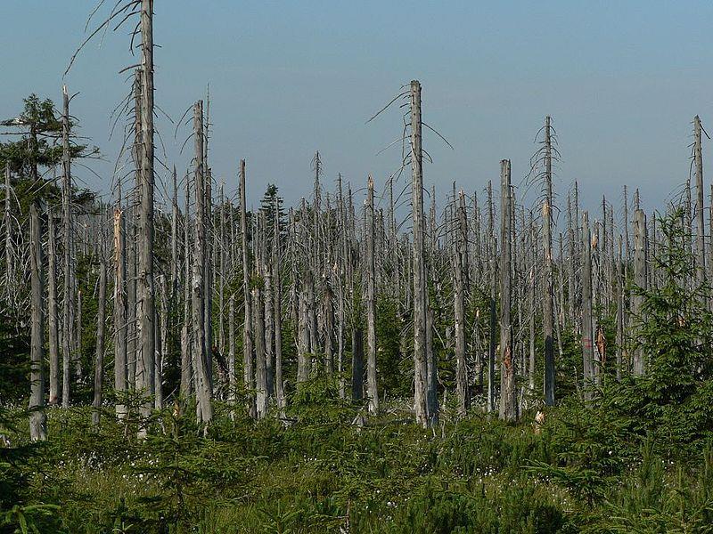 Environmental Ποιότητα αέρα Αέριος ρύπος: Μια επιβλαβής γνωστή ουσία στον αέρα η οποία είναι βλαβερή για τον άνθρωπο και το περιβάλλον.